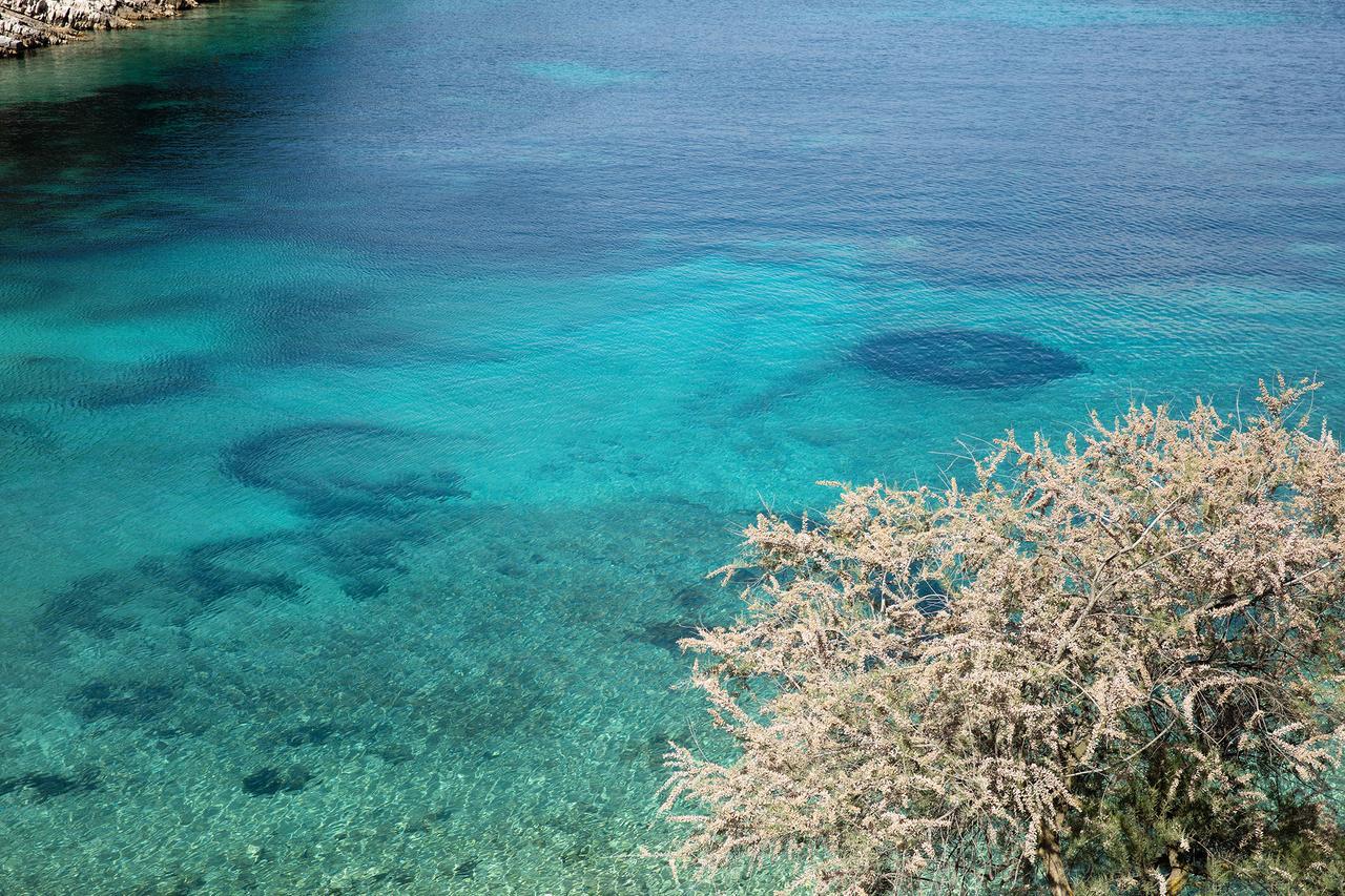 Hotel Little Green Bay Hvar Island Exterior foto
